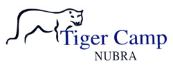 Tiger Camp- Logo